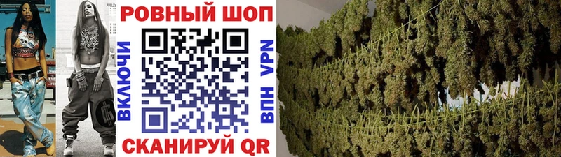 Где купить Темников Кокаин  ГАШ  A PVP  Марихуана 