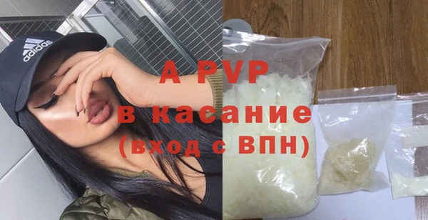 ПСИЛОЦИБИНОВЫЕ ГРИБЫ Переславль-Залесский