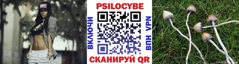Галлюциногенные грибы Psilocybe дарнет шоп Темников