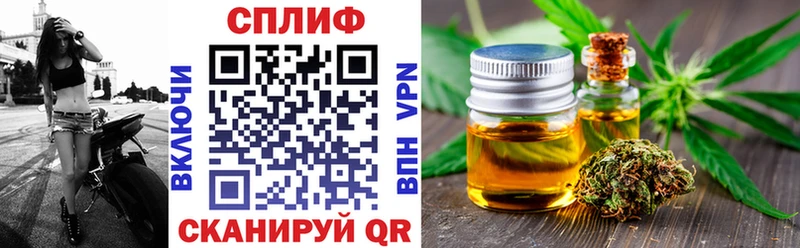 Каннабис ГИДРОПОН  купить наркотики цена  Темников 